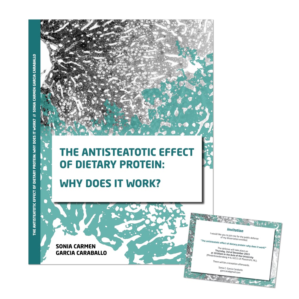 Gestaltung Zeitung Abschlussarbeit Diplom