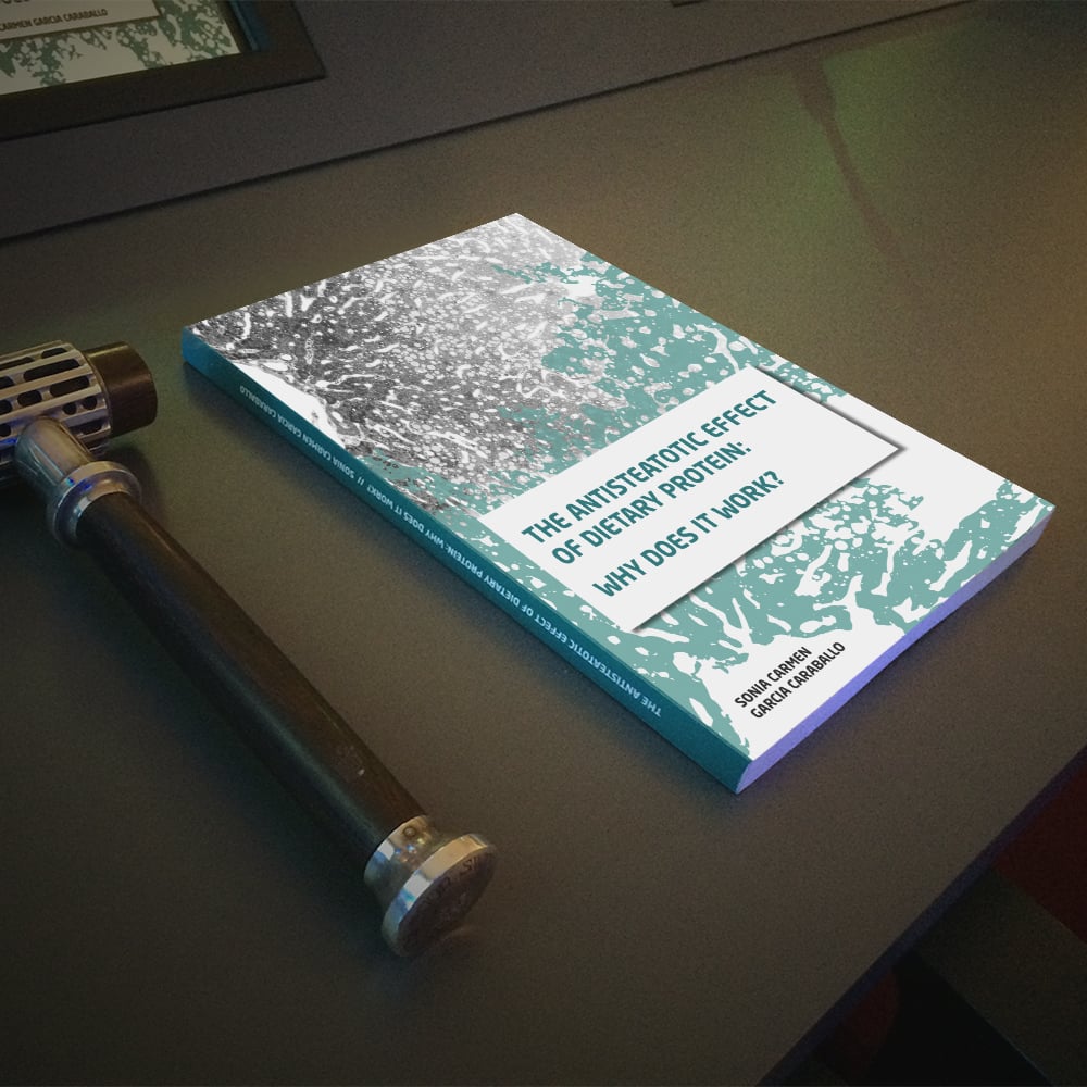 Gestaltung Design Cover Doktorarbeit Mailing